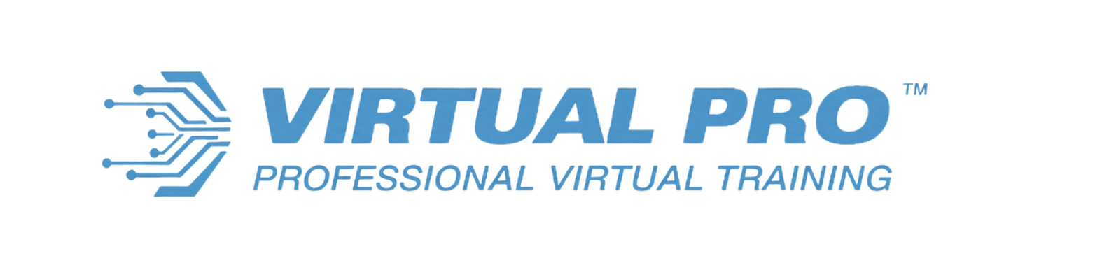 Virtual Pro Logo